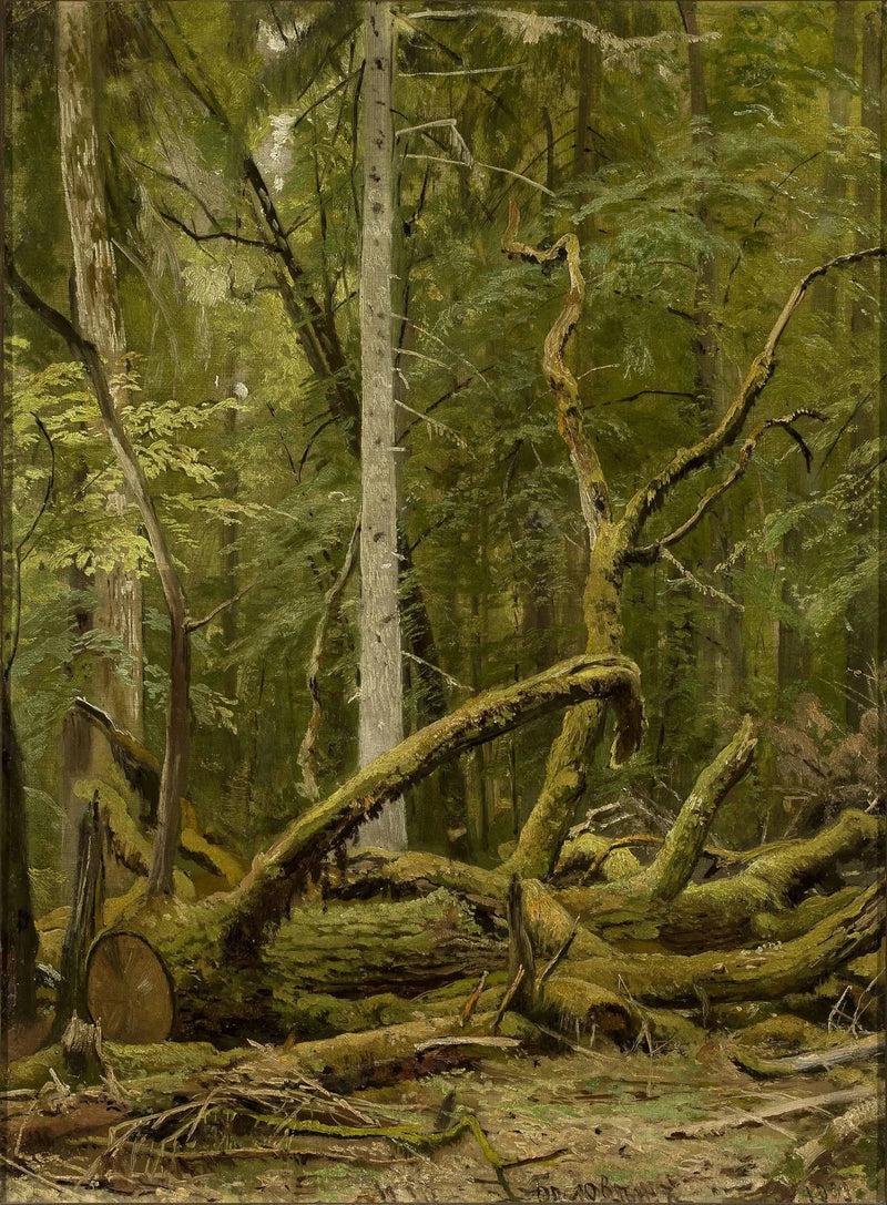 Geschaafd eikenhout - Ivan Chichkine

Source:
Chêne scié - Ivan Chichkine