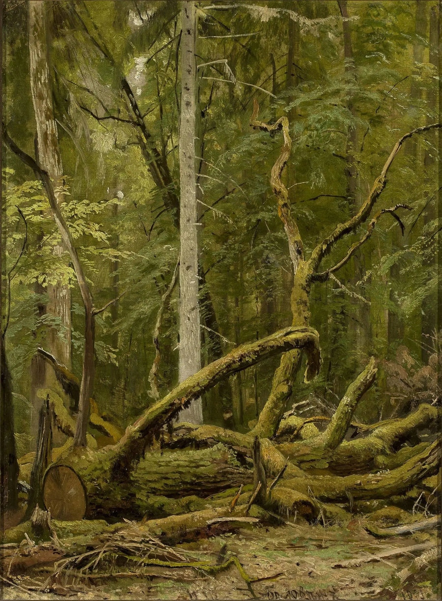 Geschaafd eikenhout - Ivan Chichkine

Source:
Chêne scié - Ivan Chichkine