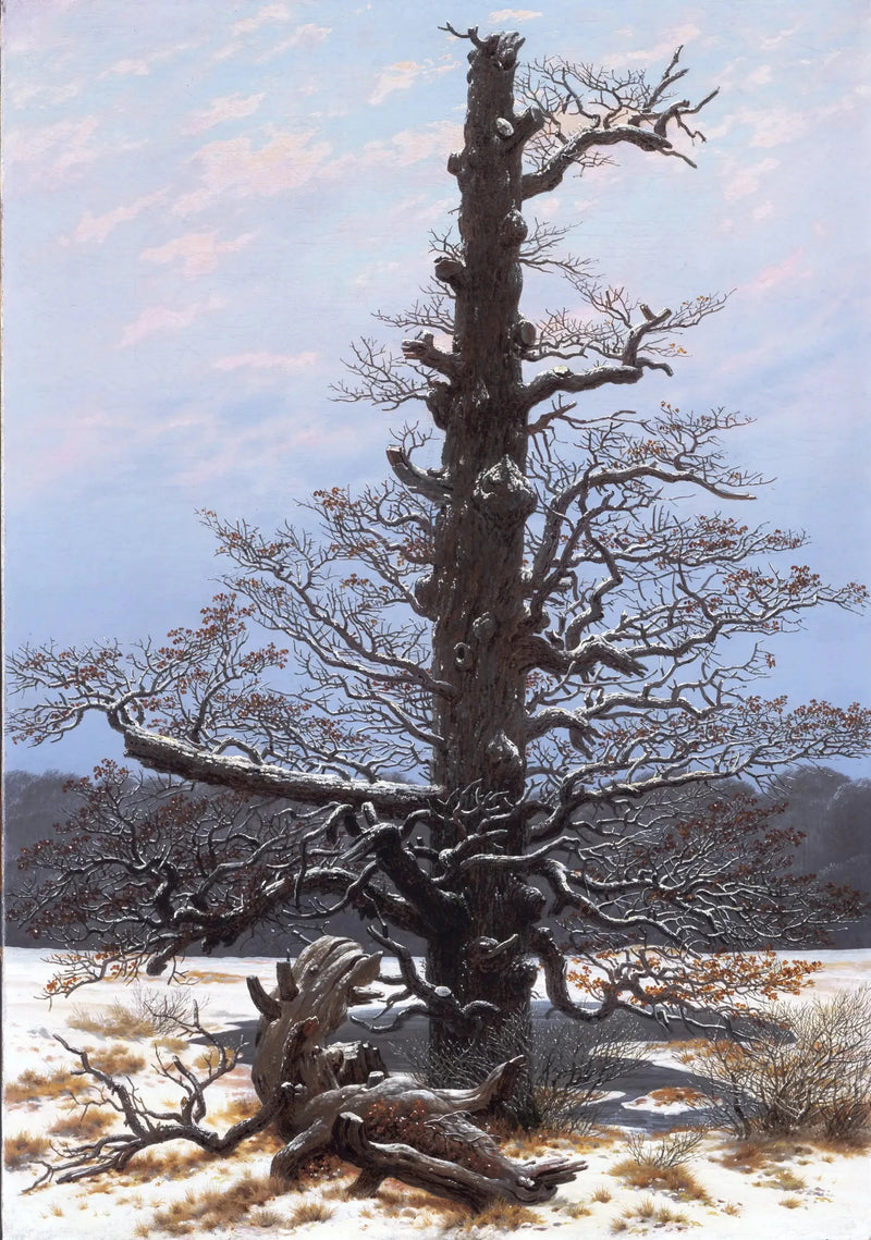 Eik onder de sneeuw - Caspar David Friedrich