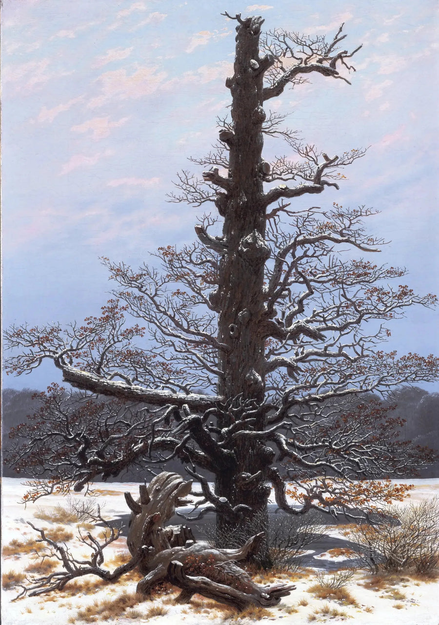 Eik onder de sneeuw - Caspar David Friedrich