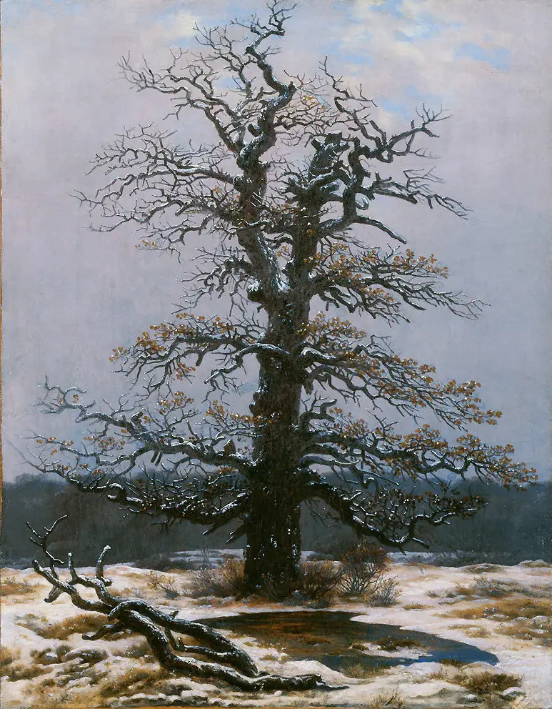 Eik onder de sneeuw - Caspar David Friedrich