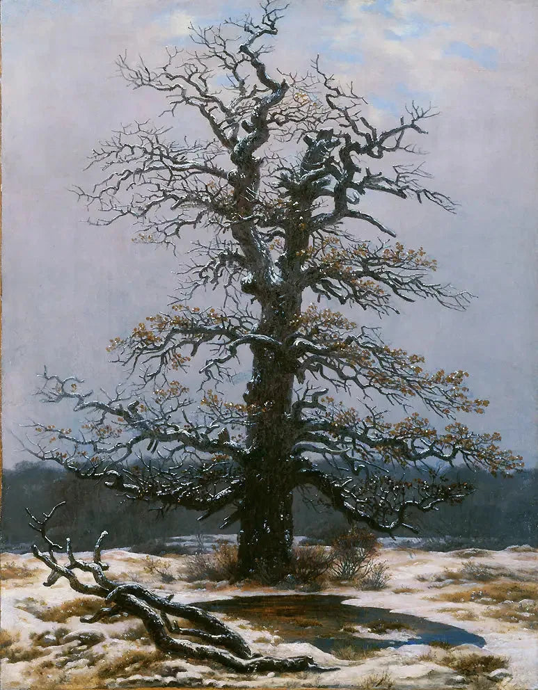 Eik onder de sneeuw - Caspar David Friedrich