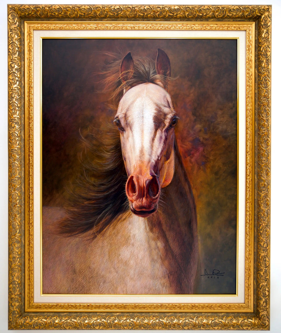 Paard | 100x130cm