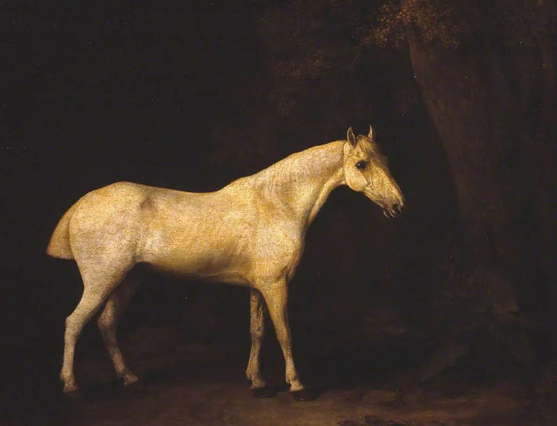 Paard in de schaduw van een bos - George Stubbs

Source:
Cheval à l'ombre d'un bois - George Stubbs