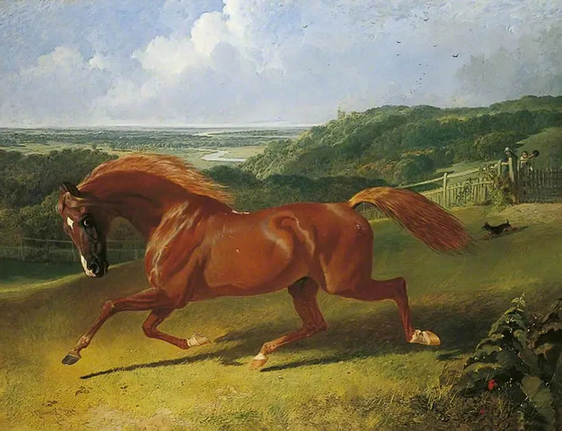 Galopperend paard in een veld - John Frederick Herring, Sr.

Source:
Cheval au galop dans un champ - John Frederick Herring, Sr.