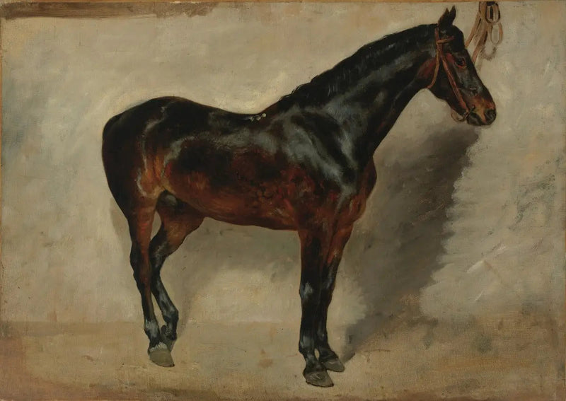 Bruin-roan paard aan de lijn - Eugène Delacroix