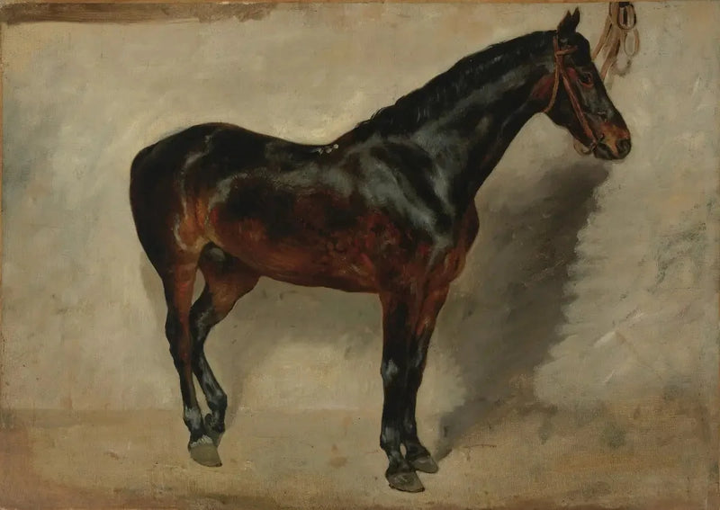 Bruin-roan paard aan de lijn - Eugène Delacroix