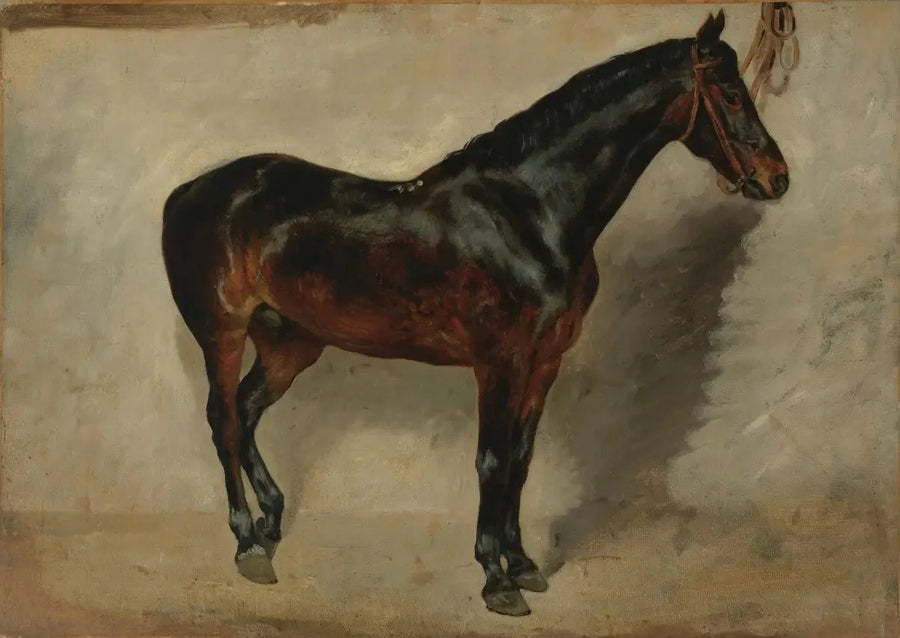 Bruin-roan paard aan de lijn - Eugène Delacroix