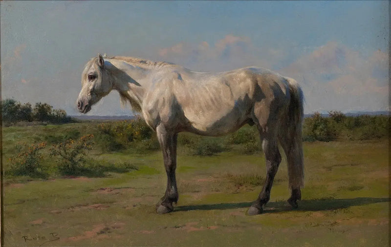 Wit paard in een weiland - Rosa Bonheur