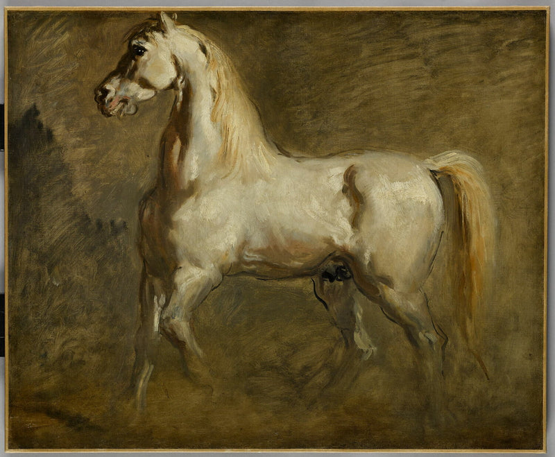Witte paard van profiel links - Théodore Chassériau