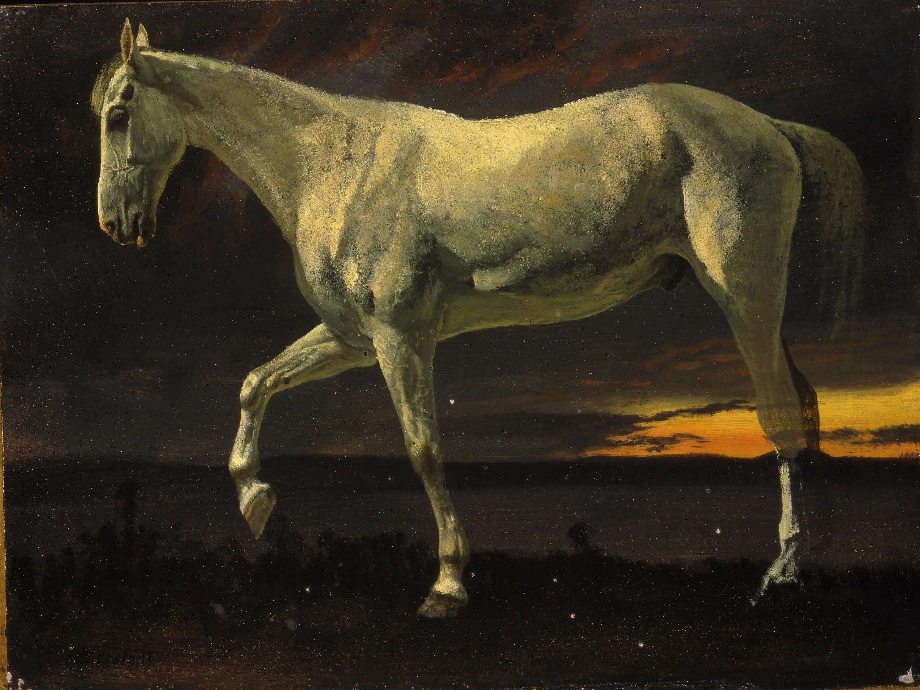 Cheval blanc et coucher de soleil - Albert Bierstadt - Alpha Reproduction