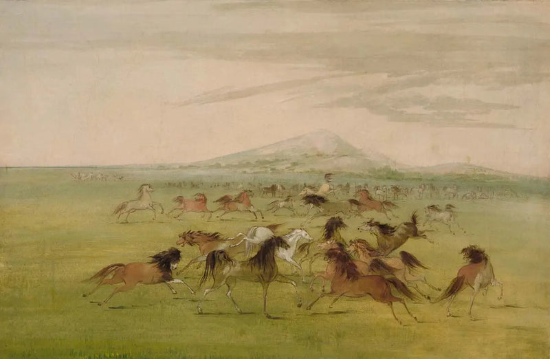Wild paarden in actie - George Catlin

Source:
Chevaux sauvages en jeu - George Catlin
