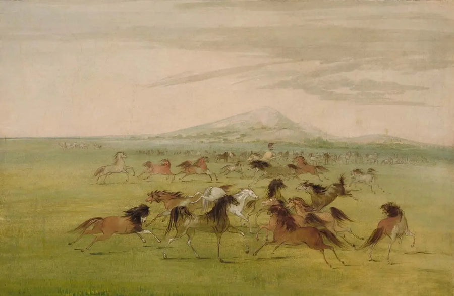 Wild paarden in actie - George Catlin

Source:
Chevaux sauvages en jeu - George Catlin