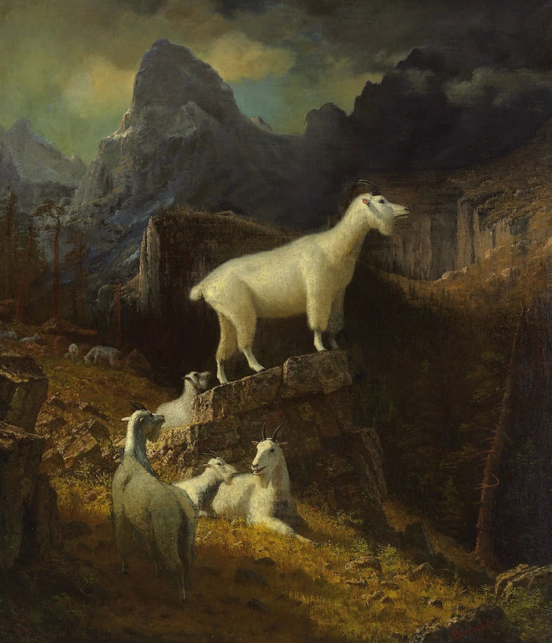 Rotsgeiten van de Rocky Mountains - Albert Bierstadt

Source:
Chèvres des montagnes Rocheuses - Albert Bierstadt