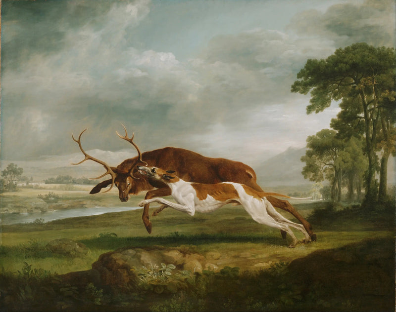 Hardlopende hond achter een hert aan - George Stubbs

Source:
Chien courant à la poursuite d'un cerf - George Stubbs