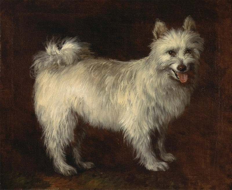 Hond Spitz - Thomas Gainsborough

Source:
Chien Spitz - Thomas Gainsborough