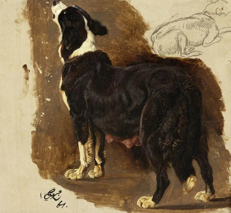 Colley-hond - Edwin Henry Landseer

Source:
Chienne Colley - Edwin Henry Landseer