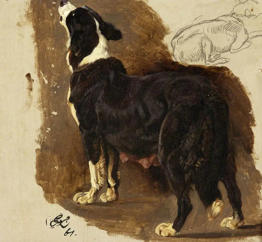 Colley-hond - Edwin Henry Landseer

Source:
Chienne Colley - Edwin Henry Landseer