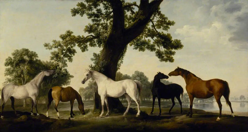 Vijf paarden op de boerderij van de hertog van Cumberland in het Grote Park van Windsor - George Stubbs

Source:
Cinq juments à l'élevage du duc de Cumberland dans le Grand Parc de Windsor - George Stubbs
