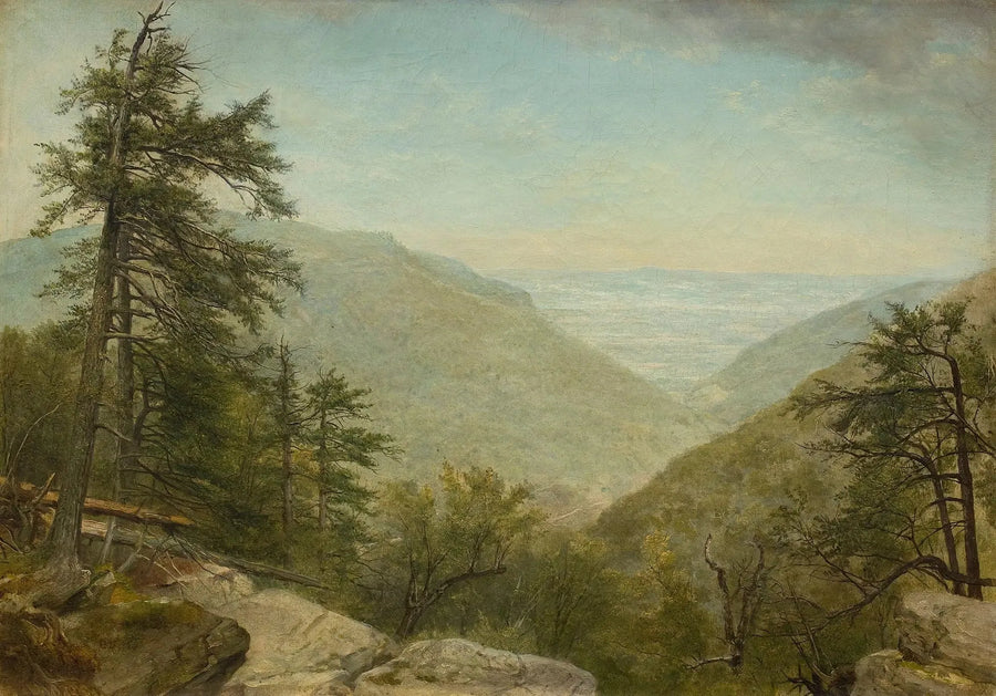 Kruidnagel van Kaaterskill - Asher Brown Durand

Source:
Clou de girofle de Kaaterskill - Asher Brown Durand