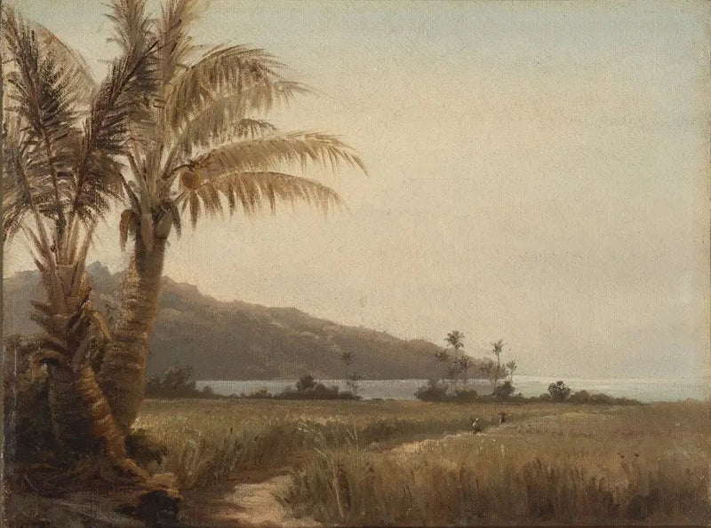 Kokospalmen aan de zee - Camille Pissarro