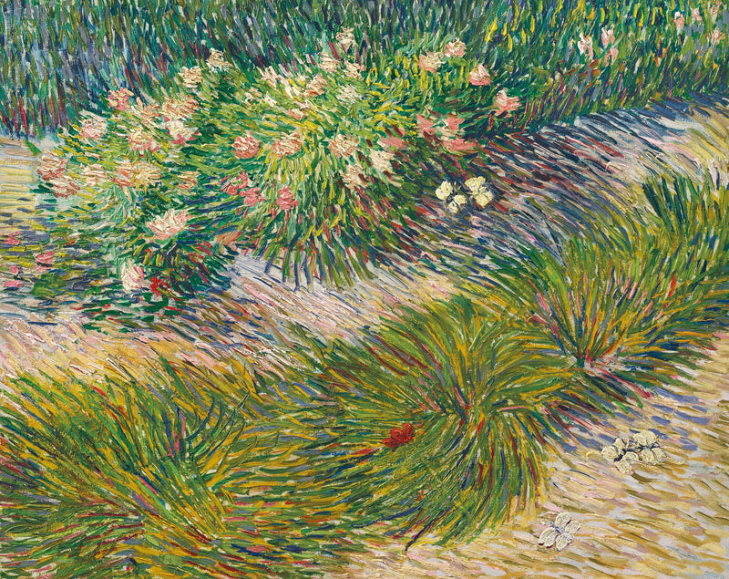 Tuinhoek met vlinders - Vincent van Gogh