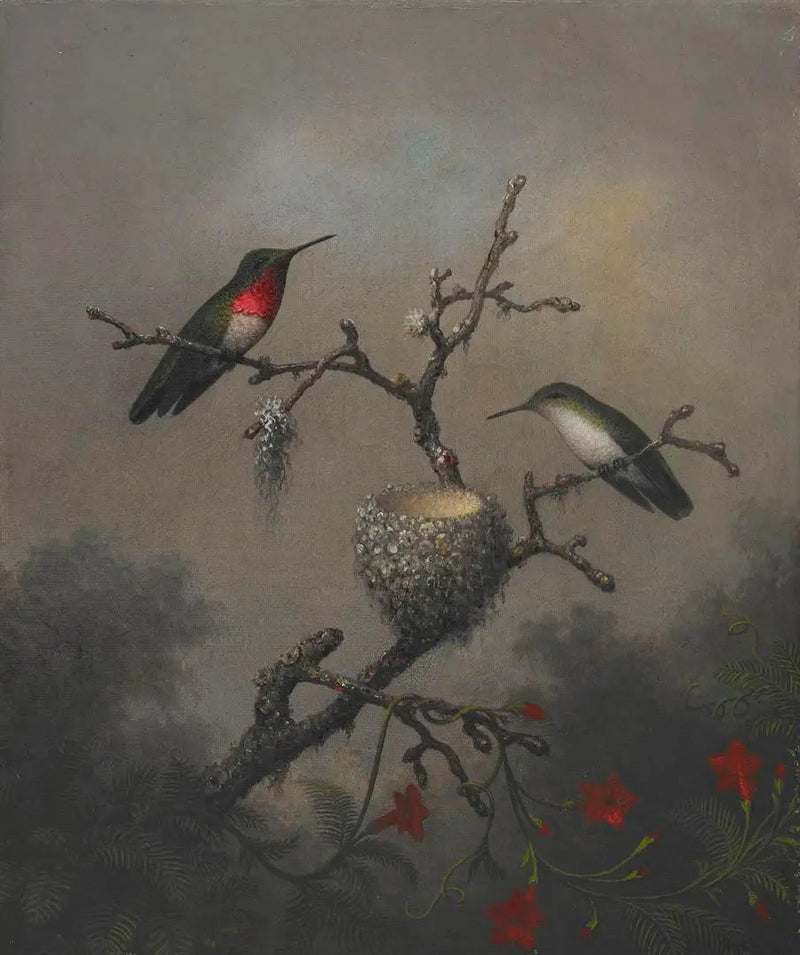 Rubiskeel kolibri - Martin Johnson Heade

Source:
Colibri à gorge rubis - Martin Johnson Heade
