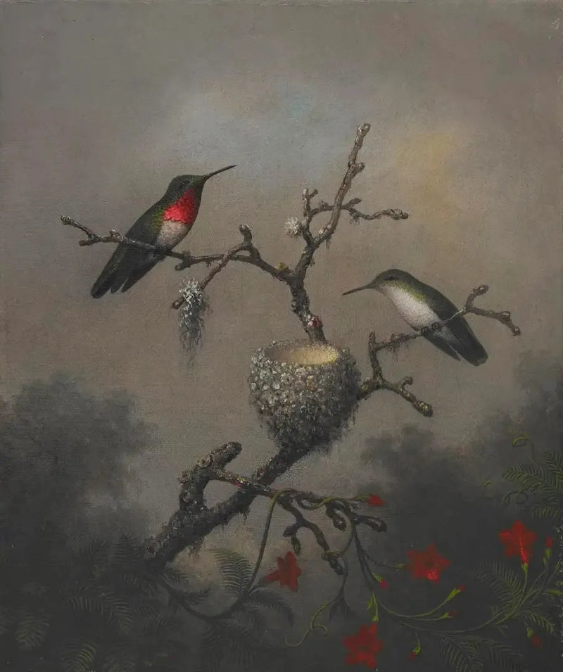 Rubiskeel kolibri - Martin Johnson Heade

Source:
Colibri à gorge rubis - Martin Johnson Heade