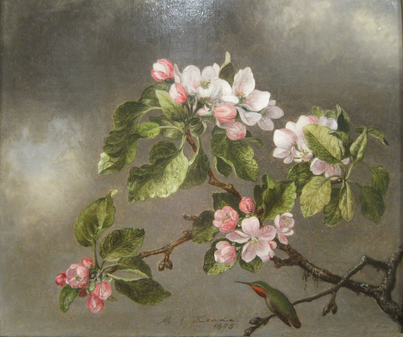 Kolibrie en kersenbloesems - Martin Johnson Heade

Source:
Colibri et fleurs de pommier - Martin Johnson Heade