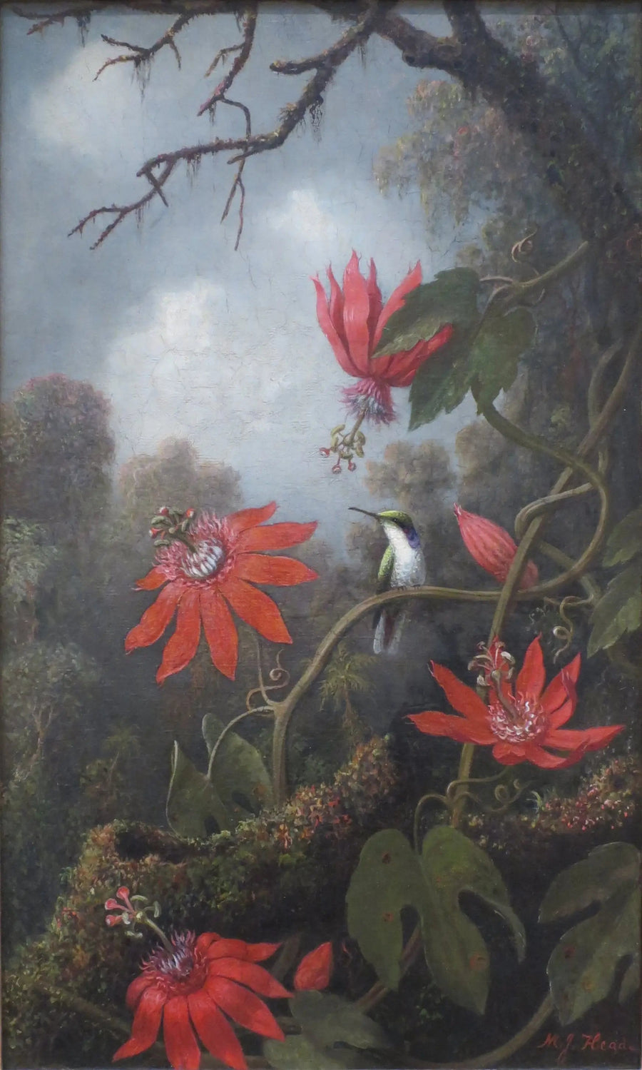 Kolibrie en passiflora's - Martin Johnson Heade

Source:
Colibri et passiflores - Martin Johnson Heade
