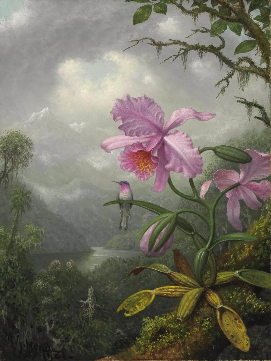 Colibri zittend op de orchideeënplant - Martin Johnson Heade

Source:
Colibri perché sur la plante d'orchidée - Martin Johnson Heade