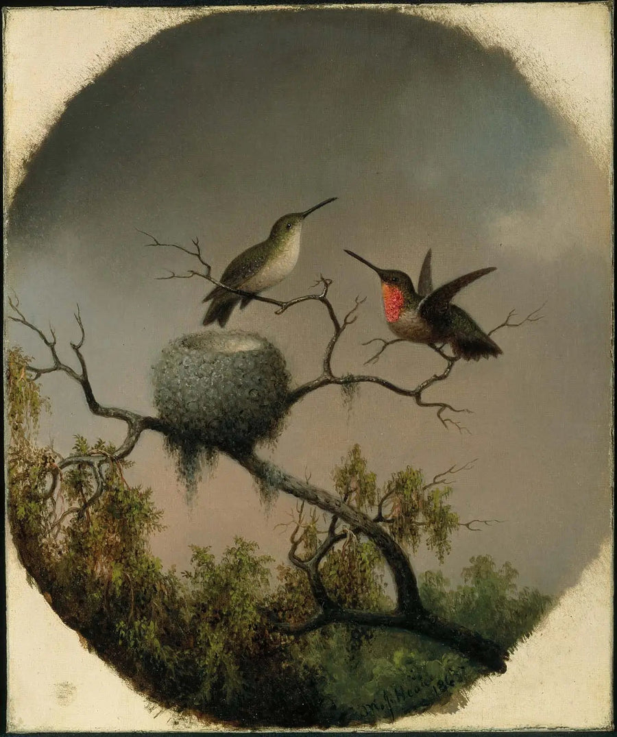 Kolibries met nest - Martin Johnson Heade

Source:
Colibris avec nid - Martin Johnson Heade