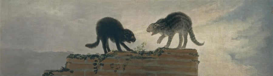 Gevecht van katten - Francisco de Goya