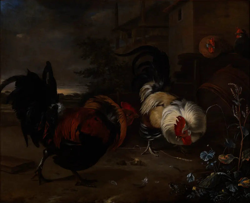 Gevecht tussen hanen - Melchior de Hondecoeter