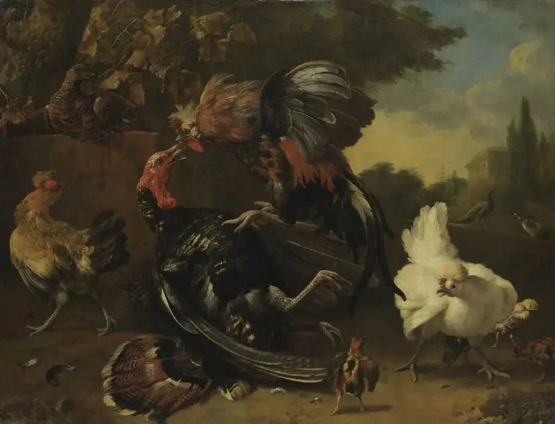 Gevecht tussen een haan en een kalkoen - Melchior de Hondecoeter