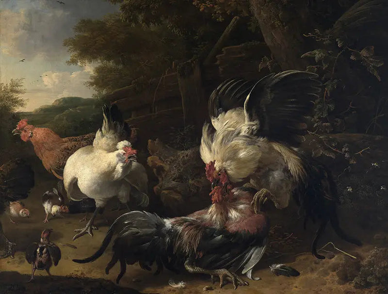 Kamp van hanen - Melchior de Hondecoeter
