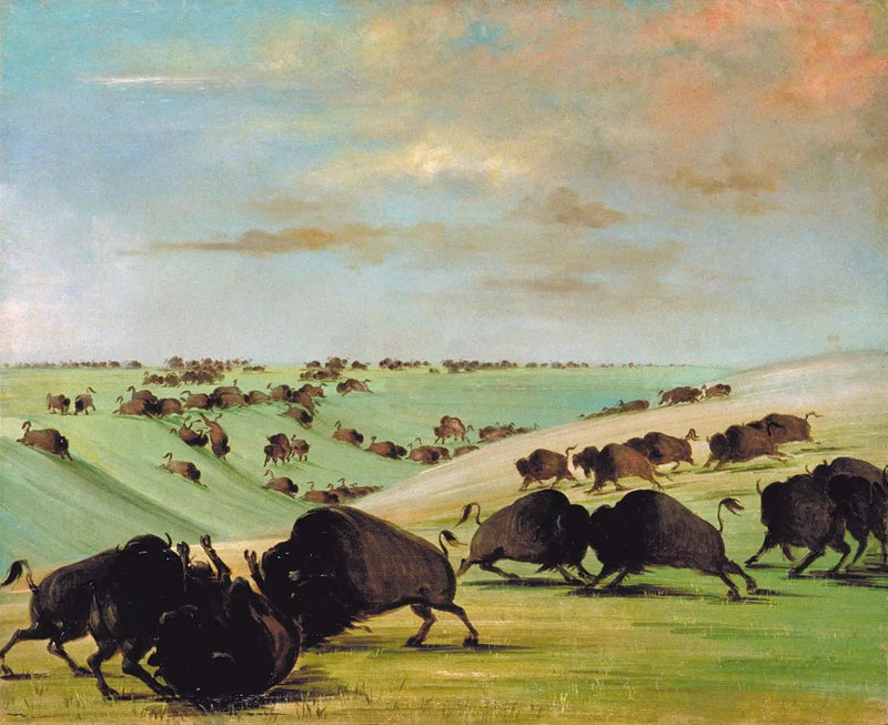 Stierengevechten met buffels tijdens het renseizoen, Haut-Missouri - George Catlin

Source:
Combats de taureaux de buffle pendant la saison de course, Haut-Missouri - George Catlin