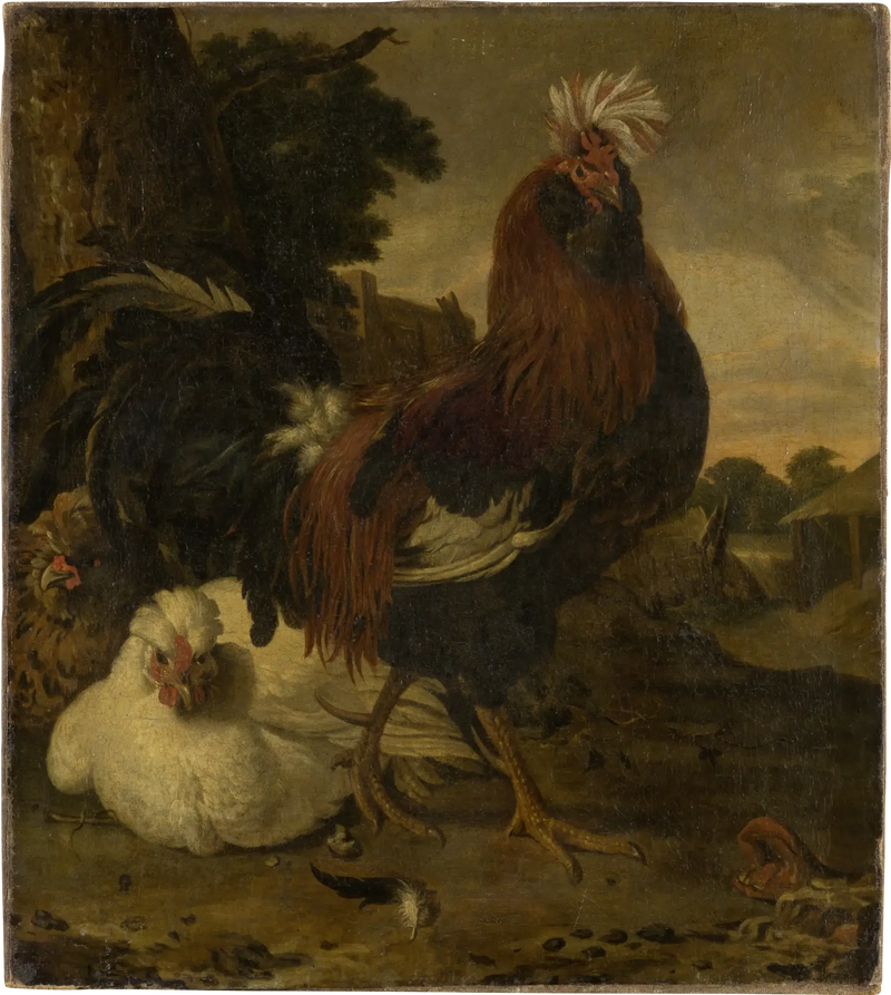 Haan in een boerderij - Melchior de Hondecoeter