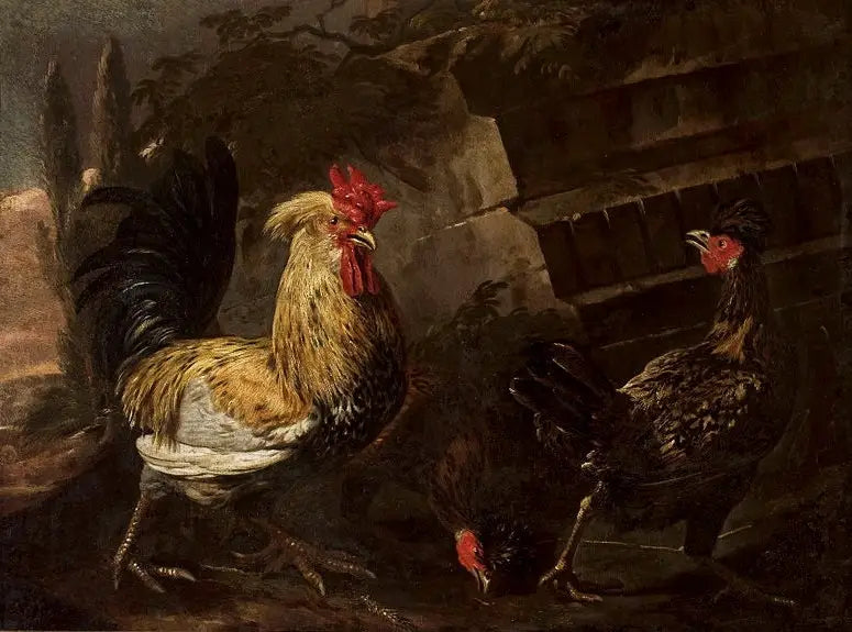 Haan en kippen. - Melchior de Hondecoeter