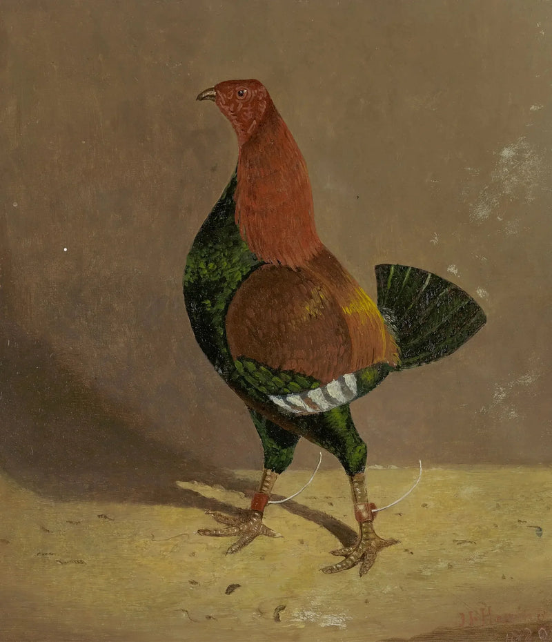 Kamphaanhaan : een kamphaanhaan met een donkere borst, naar links gekeerd - John Frederick Herring, Sr.

Source:
Coqs de combat : un coq de combat à poitrine foncée, tourné vers la gauche - John Frederick Herring, Sr.