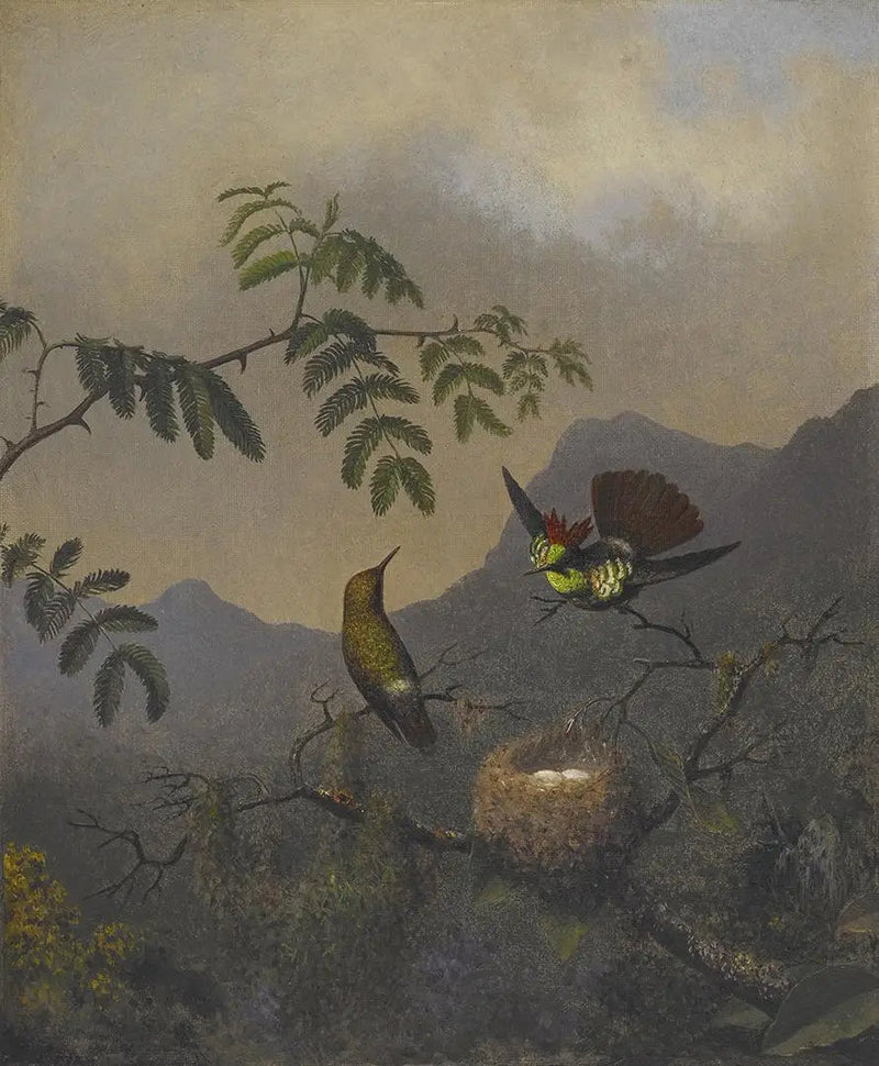 Kleedje met ruches - Martin Johnson Heade

Source:
Coquette à volants - Martin Johnson Heade