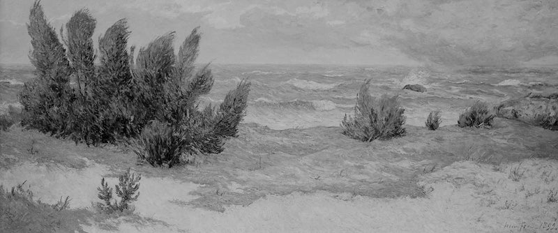 Windstoot - Maxime Maufra