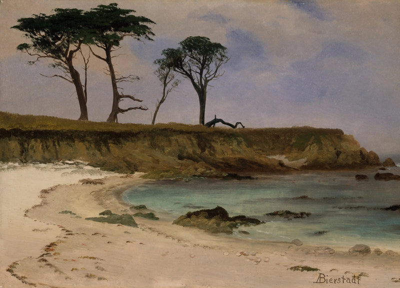Zeekriek - Albert Bierstadt

Source:
Crique de la mer - Albert Bierstadt