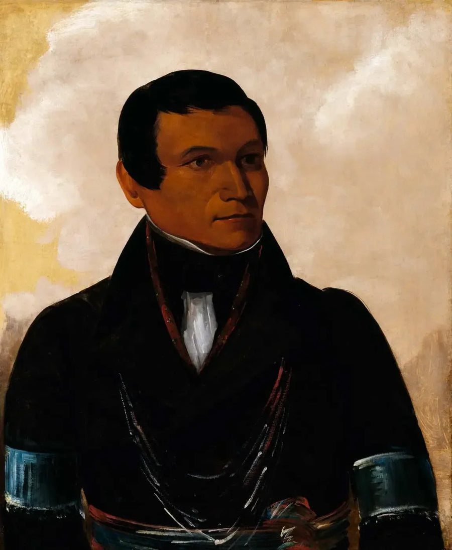 Cú-sick, zoon van de chef - George Catlin

Source:
Cú-sick, fils du chef - George Catlin