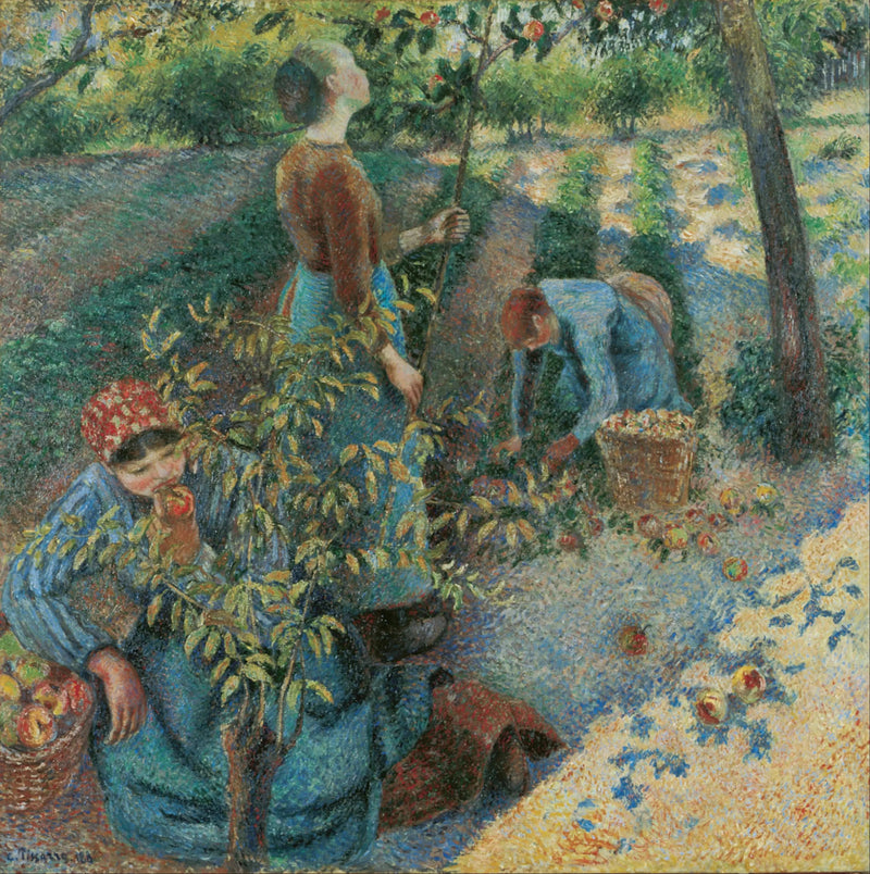 Appelpluk - Camille Pissarro