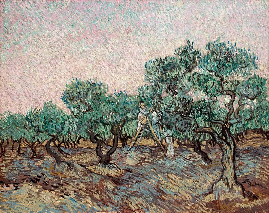 Olijven plukken - Vincent van Gogh