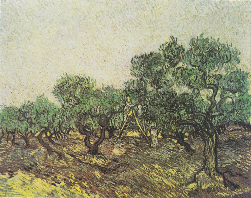 Olijven plukken - Vincent van Gogh