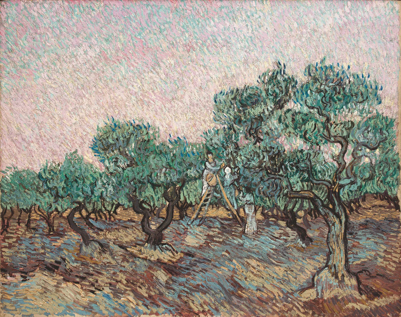 De Olijvenpluk - Vincent van Gogh