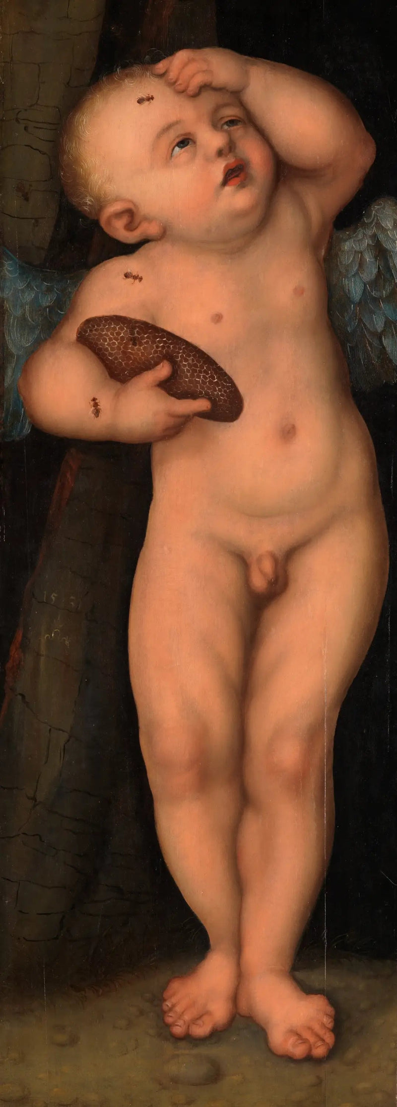 Cupido als honingdief - Lucas Cranach de Oudere