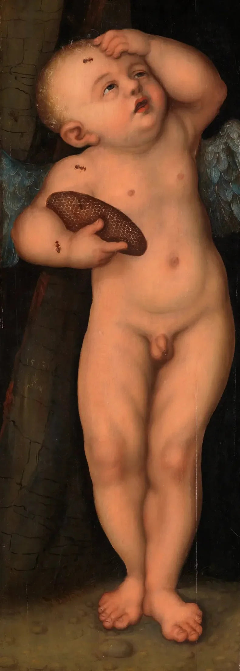 Cupido als honingdief - Lucas Cranach de Oudere